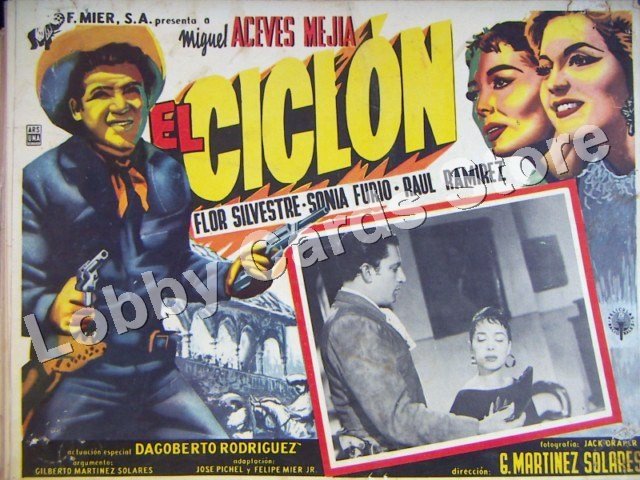 FLOR SILVESTRE/EL CICLON
